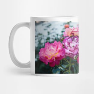 Neon Pink Roses 1 Mug